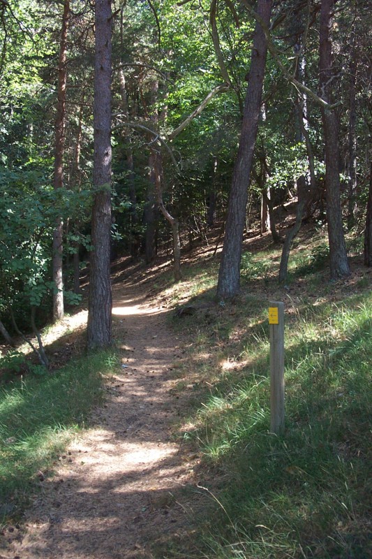 #7 Sentier rejoignant les lacets : Étrangement, pas de panneau d Sentier rejoignant les lacets : Étrangement, pas de panneau d'interdiction aux VTT ici, mais seulement une flèche indiquant la direction, mais on reste dans le PNM car le balisage y est spécifique. La traversée se fera alors en poussant (ça tombe bie