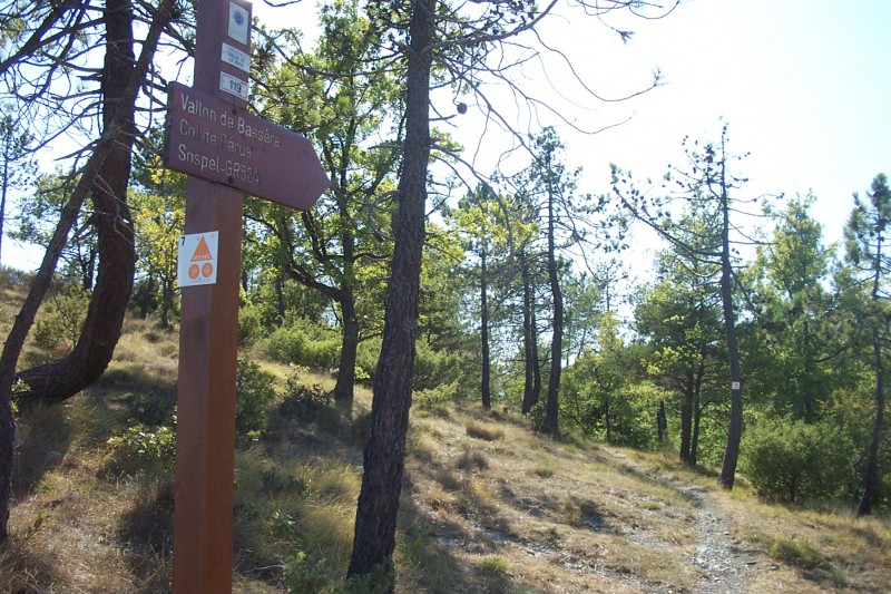 #14 Balise CG 06 : C Balise CG 06 : C'est par là la seconde descente !