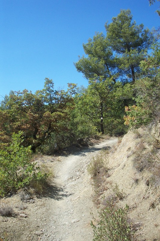 #3 Montée au col de l Montée au col de l'Agaisen : Trop belle et dure