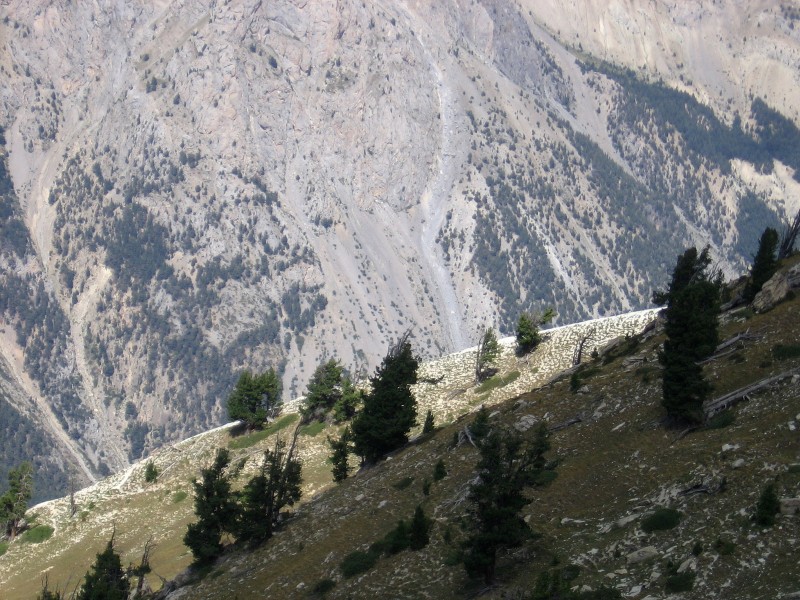 #6 Queyras.Pic d Queyras.Pic d'Escreins : Crête d'Andreveysson (sentier expo).