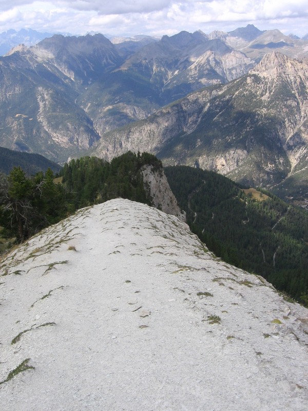 #7 Queyras.Pic d Queyras.Pic d'Escreins : Crête d'Andreveysson (in situ).