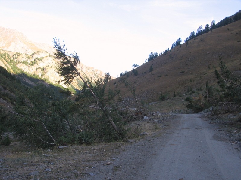 Queyras.Tour du Pain de Sucre : En dessous du Sommet de l'Olive (1900-2000m), le vallon est bien ravagé par les avalanches de fin d'hiver.