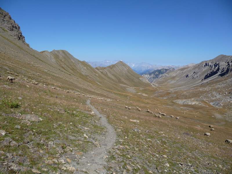 #3 Vallon Laugier : La vallon Laugier et le Pelvoux au fond Vallon Laugier : La vallon Laugier et le Pelvoux au fond