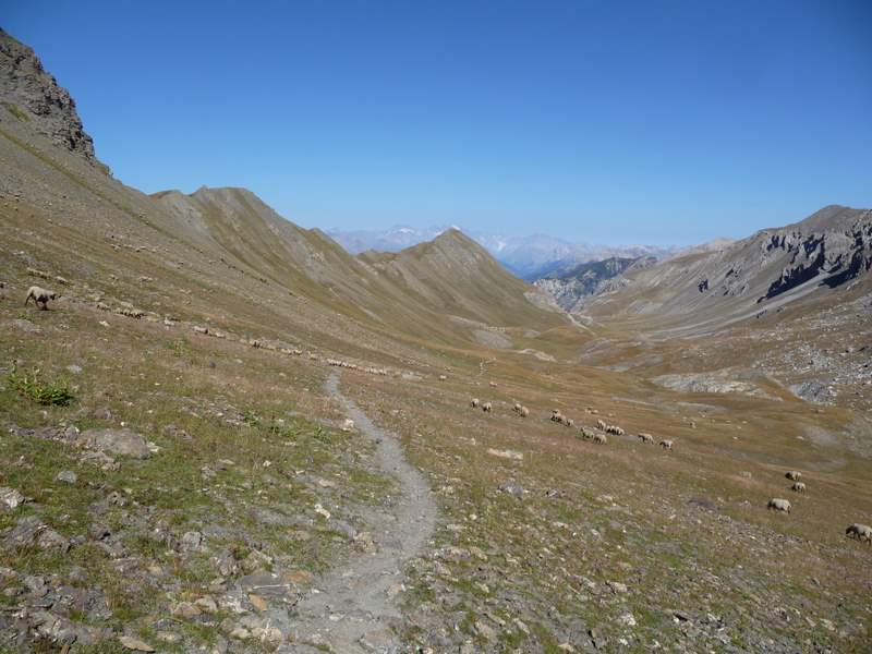 Vallon Laugier : La vallon Laugier et le Pelvoux au fond