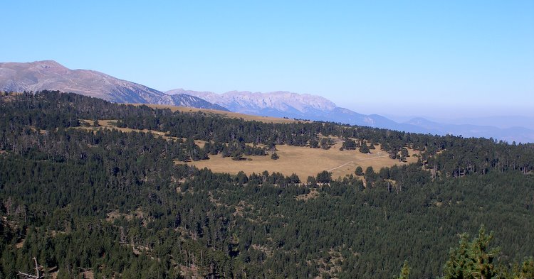 Coll de Pradeiles : Vue sur la Molina et le Sierra del Cadi