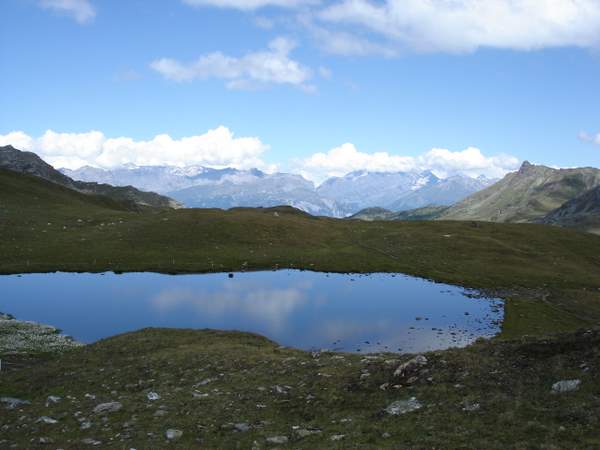 Vue sur l'Oberland : Vue sur l'Oberland (Balmhorn,...) depuis la gouille de Potoc