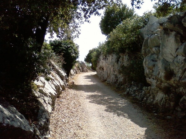 #1 Piste sur l Piste sur l'adret : Une fois les lacets passés, la piste devient horizontale et on peut avancer...