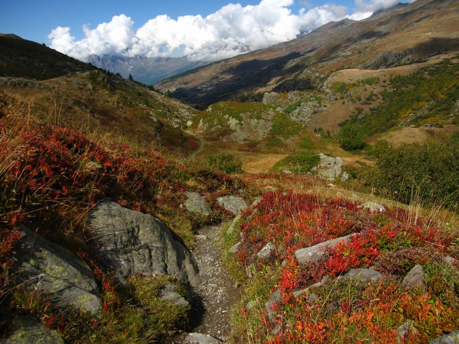 #12 Neuvache : sous le Lac Vert Neuvache : sous le Lac Vert