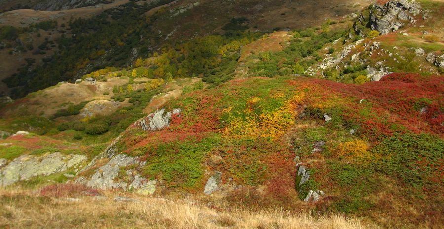 #8 Neuvache : Habits d Neuvache : Habits d'automne