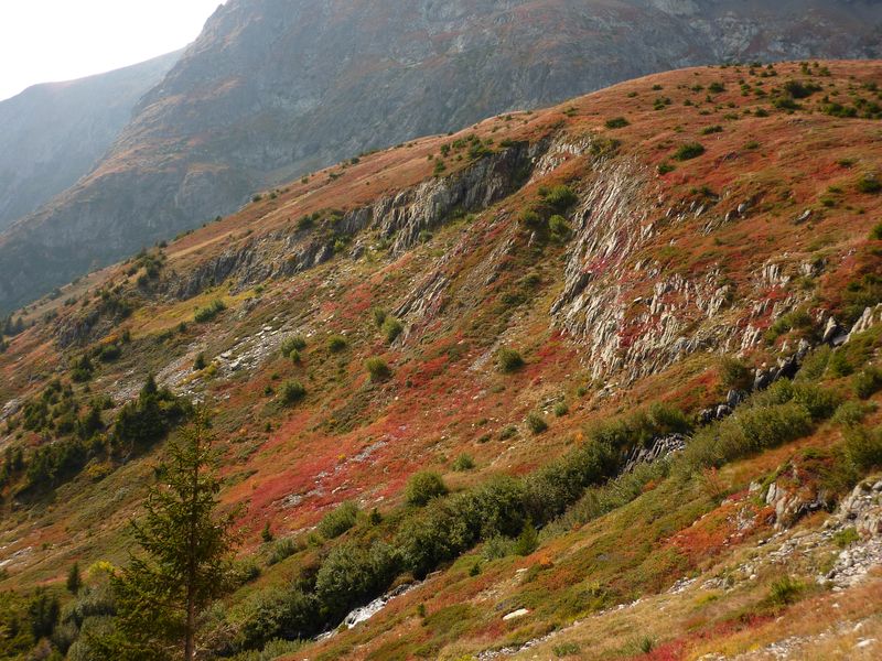 #2 Fourchu : Les couleurs rouges de l Fourchu : Les couleurs rouges de l'automne