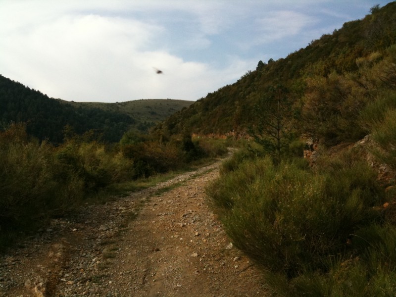 Montée par la piste