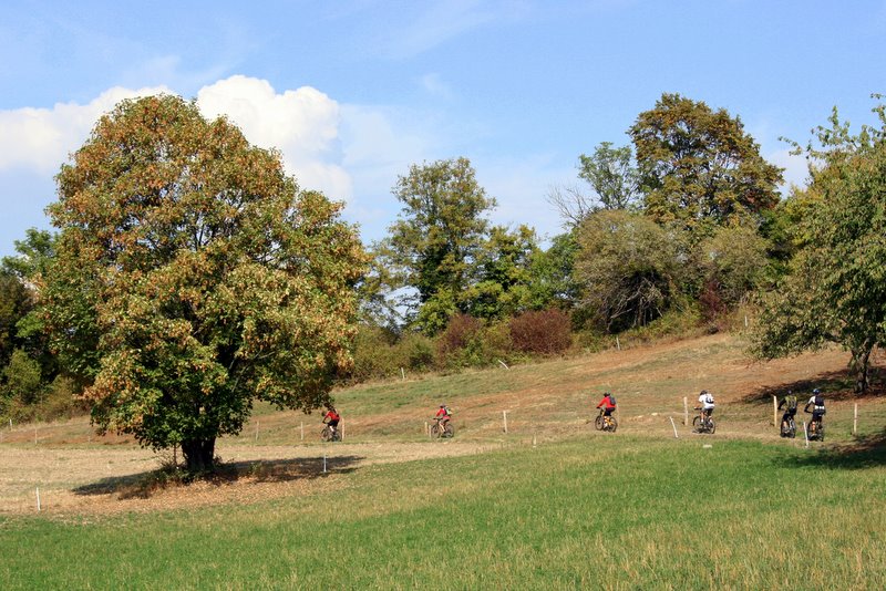 Final dans les près : Une dernière petite côte et finir la descente.