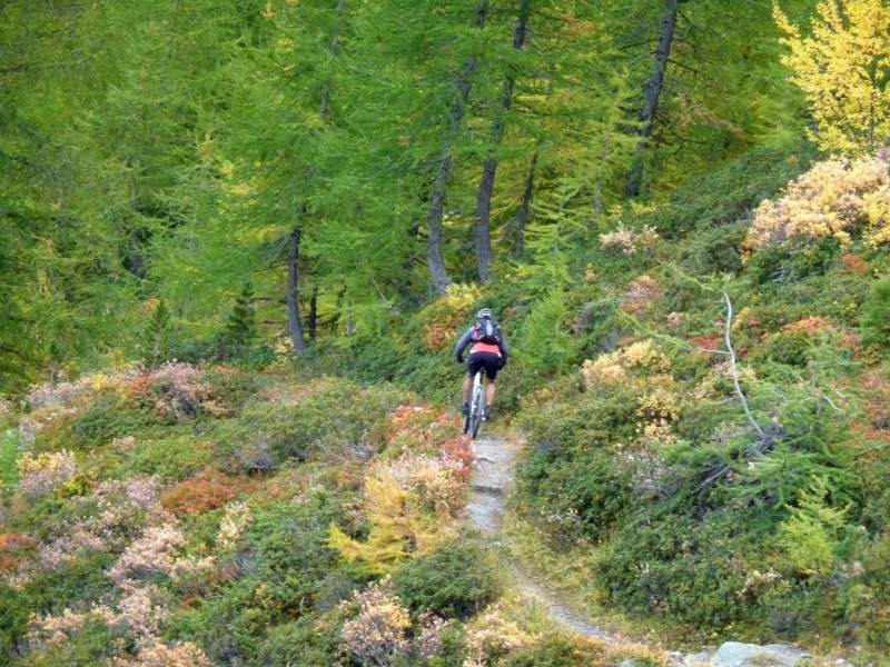 #18 Meretschialp : Belles couleurs Meretschialp : Belles couleurs