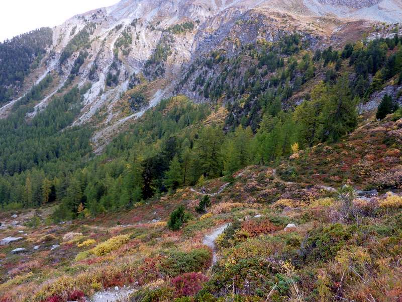 #19 Meretschialp : Ton sur ton, où est sanfroic ? Meretschialp : Ton sur ton, où est sanfroic ?