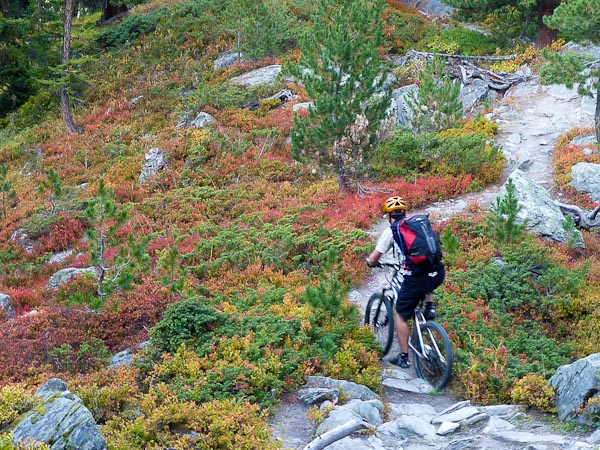 Bella Tola : L'automne est bien là !