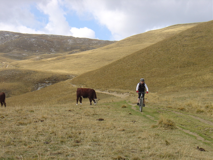 #6 Rencontre : Beaucoup de bestioles, plus ou moins grosses... Rencontre : Beaucoup de bestioles, plus ou moins grosses...