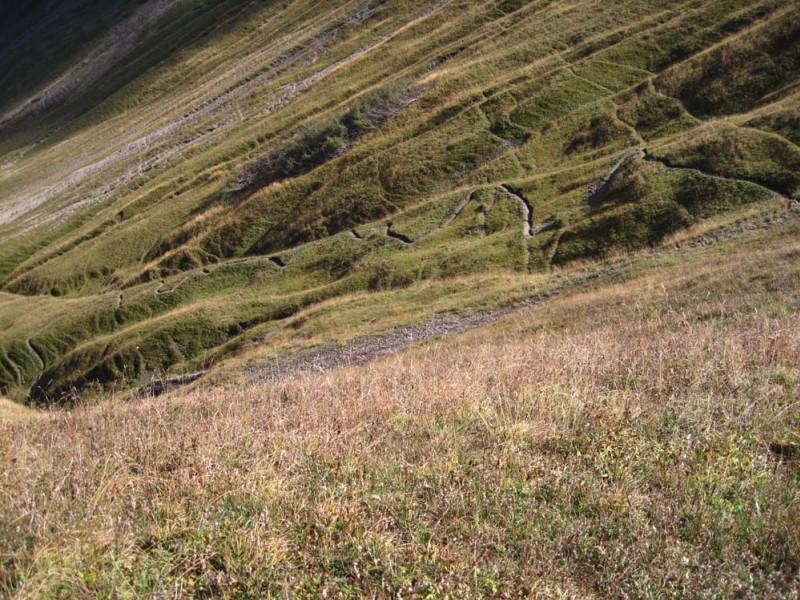 #19 Col de Drison : un beau single en lacets enlacés descend au chalet d’alpage. Dommage ce n’est pas notre trajectoire Col de Drison : un beau single en lacets enlacés descend au chalet d’alpage. Dommage ce n’est pas notre trajectoire