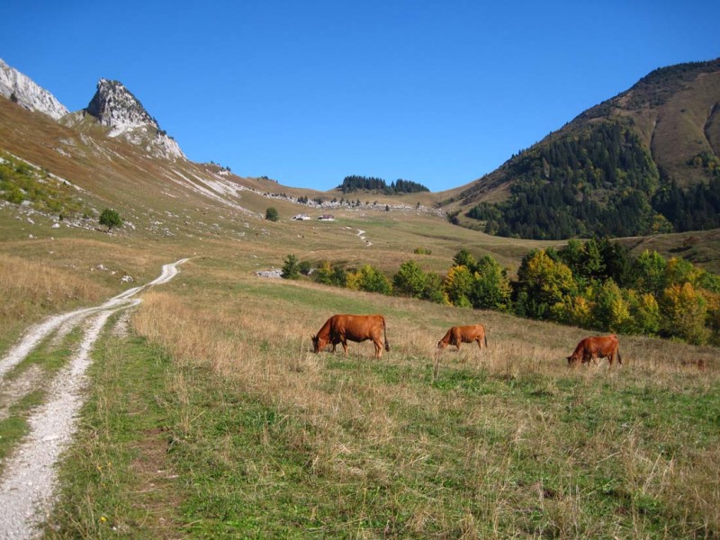 #1 Orgeval : Dans les premiers rayons du soleil l’alpage et les chalets d’Orgeval Orgeval : Dans les premiers rayons du soleil l’alpage et les chalets d’Orgeval