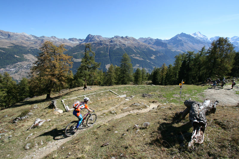 Entre Orzival et Bendolla : Fin du sentier