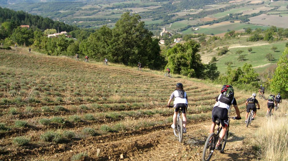 #2 Pourrissage de champs : Mode freeride dans les prés Pourrissage de champs : Mode freeride dans les prés