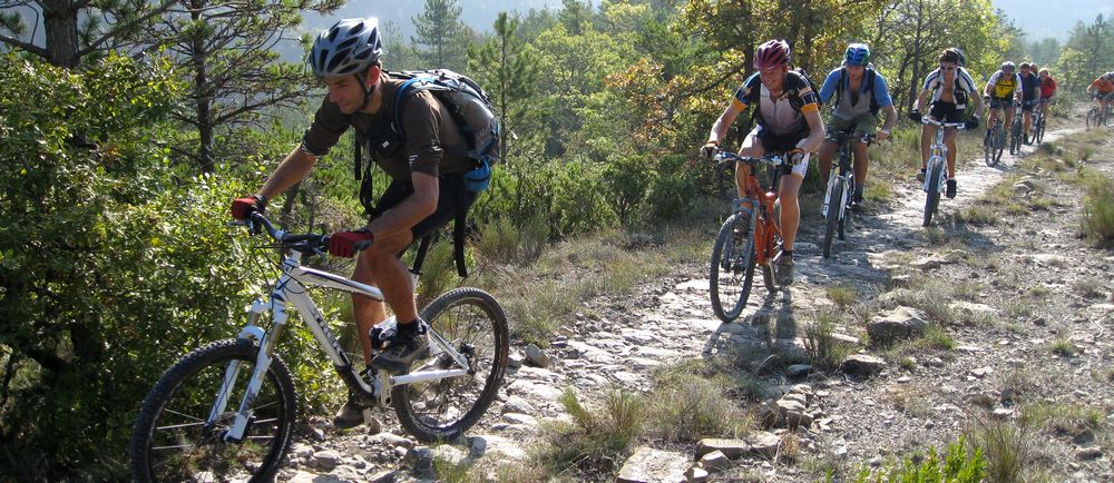 En route vers le paradis : les ouriens processionnaires