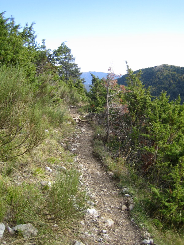 Col d'Aune versant sud : Sentier en balcon