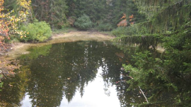 le lac mayen : un petit lac qui resiste à la secheresse