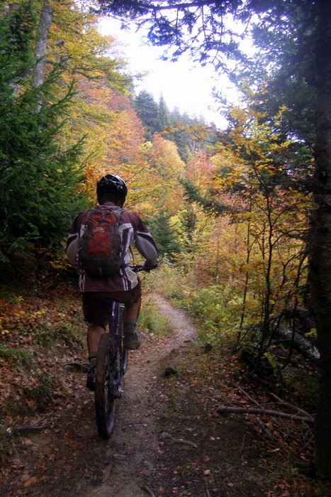 #17 Plongée dans l Plongée dans l'automne : Les couleurs sont magnifiques mais gaffe aux racines et pierres toutes plus zippantes les unes que les autres