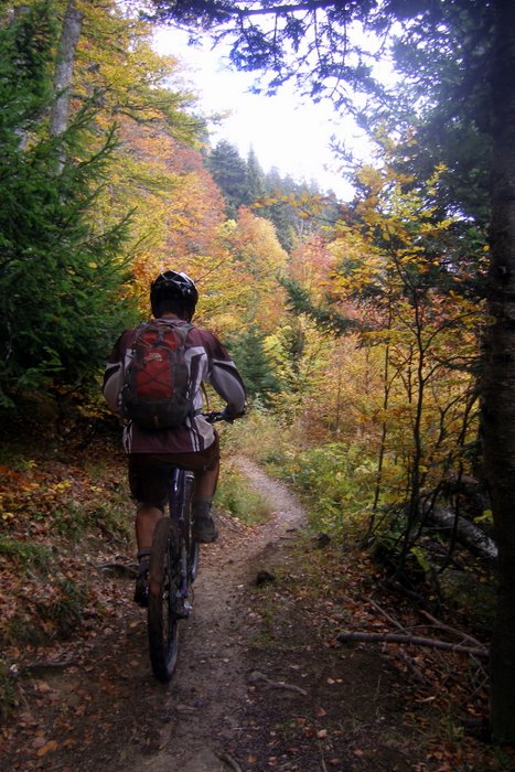 Plongée dans l'automne : Les couleurs sont magnifiques mais gaffe aux racines et pierres toutes plus zippantes les unes que les autres