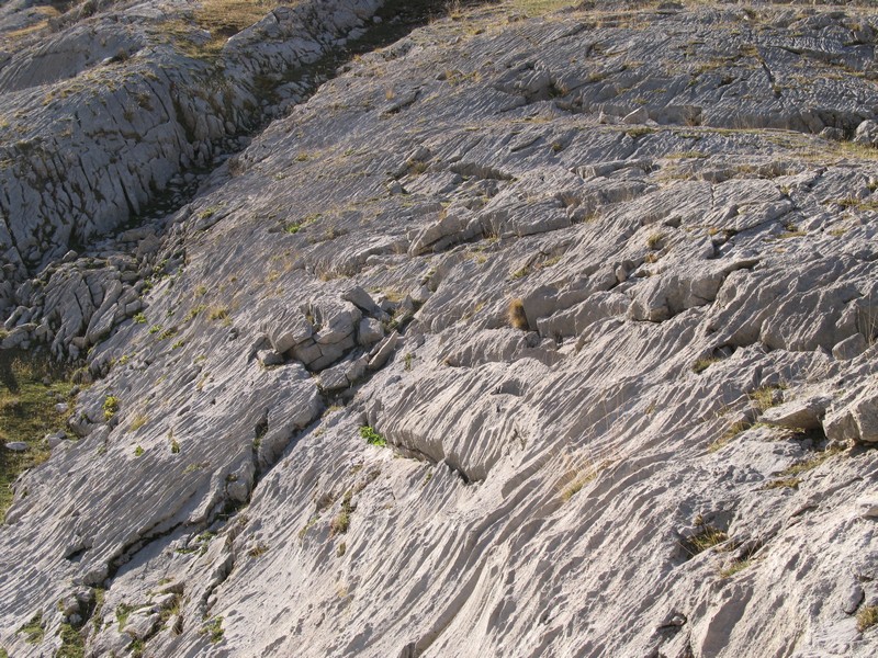 Les dalles : relief très agressif due à la dissolution des calcaires