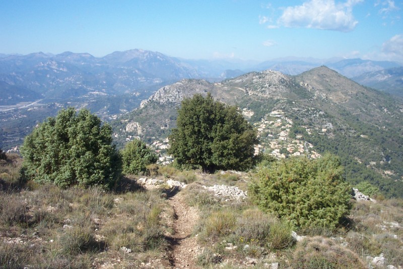 #8 Sentier bonus : Un vrai régal ! Sentier bonus : Un vrai régal !