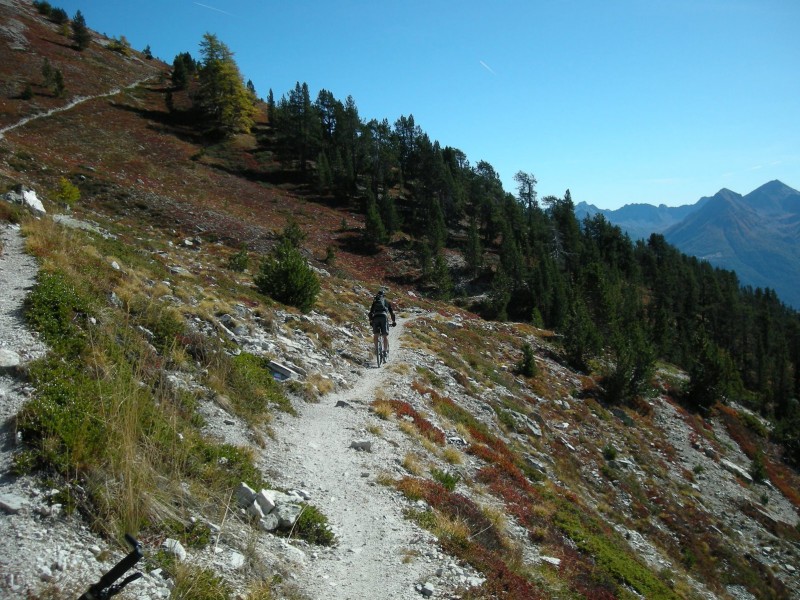 #17 En descente : et joueur En descente : et joueur