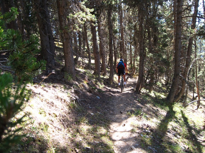 #15 En descente : puis sur un monotrace tapis de mélèze En descente : puis sur un monotrace tapis de mélèze