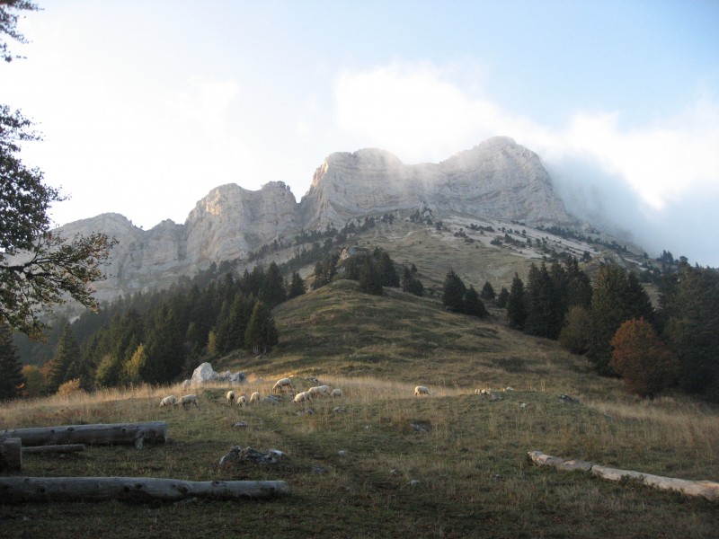 Chamechaude : Comme par hasard, le ciel se dégage une fois en bas !!