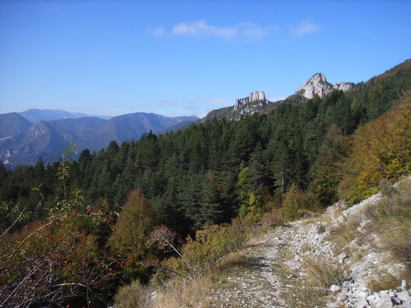 #7 L L'Aupillon : et bientôt de col de Lus