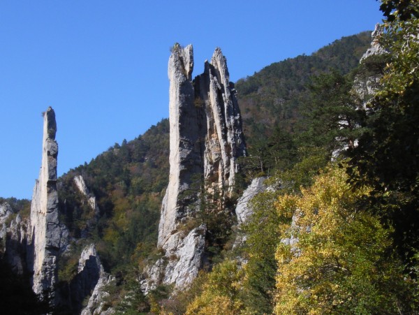#4 Les sucettes : attraction touristique locale Les sucettes : attraction touristique locale
