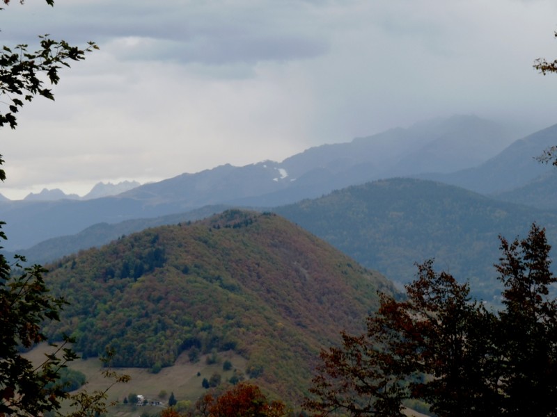 #1 La forêt de Combeloup : et la fameuse neige des 7 Laux La forêt de Combeloup : et la fameuse neige des 7 Laux