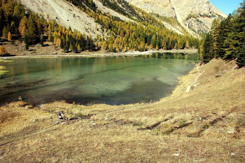 Lac de l'Orceyrette : dans son écrin jaune-roux de mélèzes en feu