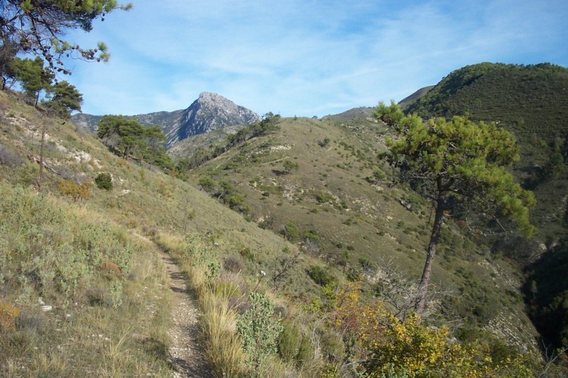 #4 Baisse de Marsan : superbe sentier, bien lisse Baisse de Marsan : superbe sentier, bien lisse
