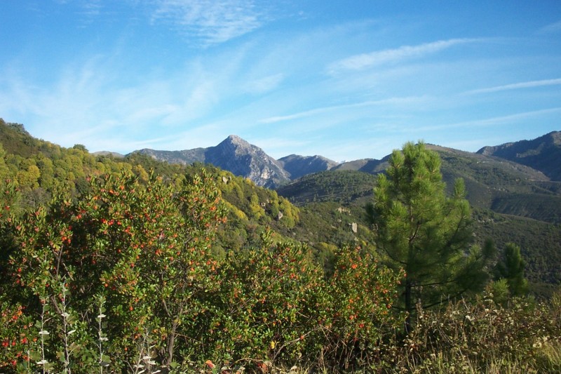 #1 Vers la baisse de la Croix : Magnifique sentier Vers la baisse de la Croix : Magnifique sentier