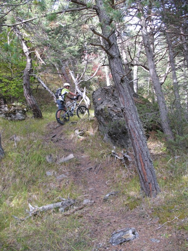 "CrossCountry" : nombreux passages à pieds lors de la "descente", balisage bien visible.