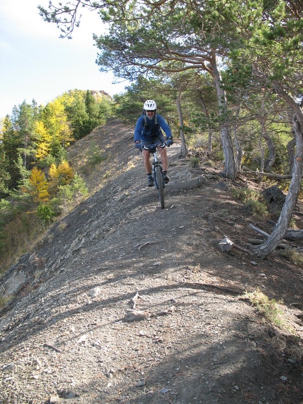 Jeff : Morgonnet derrière les arbres