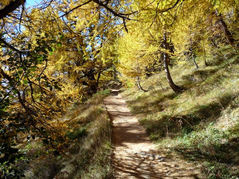 #5 L L'Erié : Départ du magnifique sentier balcon vers Sorgnot