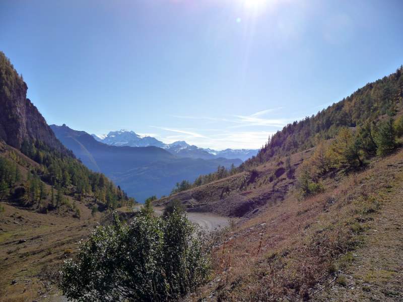 #4 Grand Combin : Grand Combin depuis Lousine Grand Combin : Grand Combin depuis Lousine