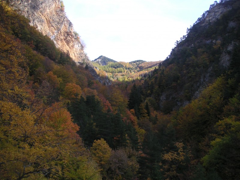 Gorges : Montée dans les gorges sous les couleurs d'automne