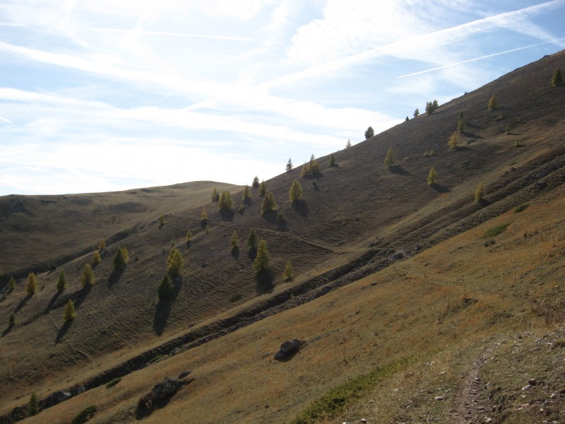 #2 Baisse de Barrot en vue : superbe long single qui se ride tout du long Excellent !! avec une vue fabuleuse sur le Mercantour.. Baisse de Barrot en vue : superbe long single qui se ride tout du long Excellent !! avec une vue fabuleuse sur le Mercantour..