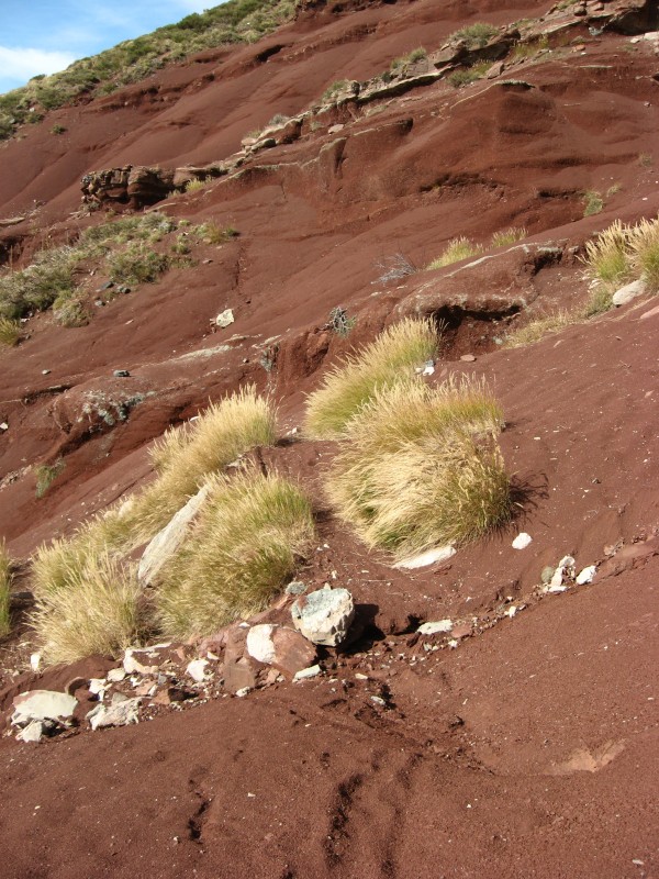 en direction du col de Sui : désert de sable rouge..