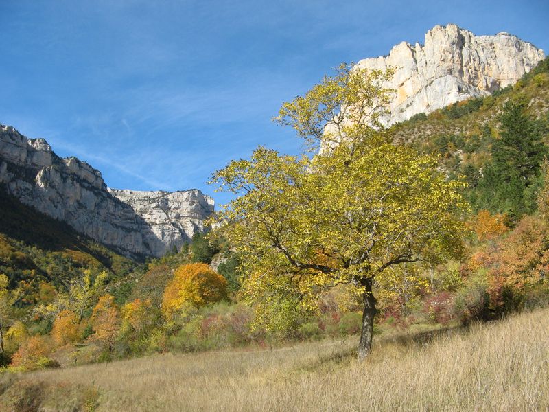 Belles couleurs : On ne s'en lasse pas!