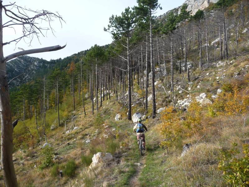 Ruines de Fontpuge : JjG.