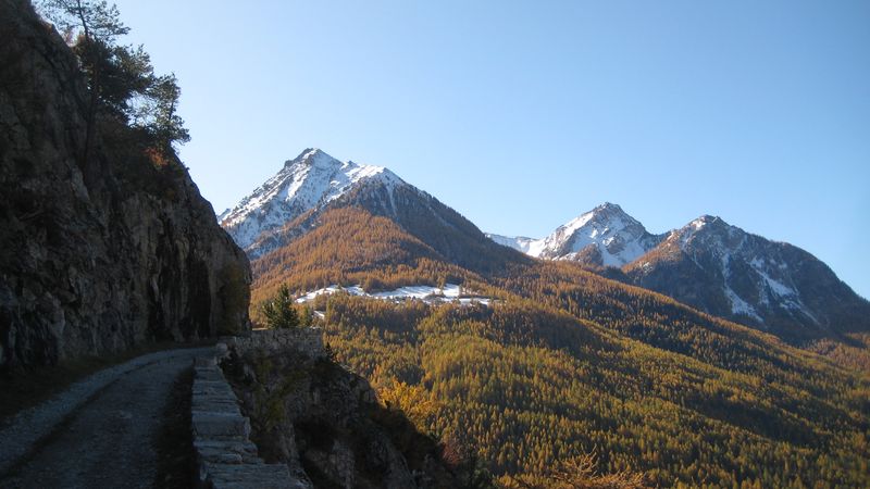 #1 Mélezin et sa cime : Un beau dégradé de couleurs en ce moment. Mélezin et sa cime : Un beau dégradé de couleurs en ce moment.
